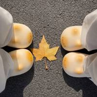 PawlyPrints - Cat Paw Print Fluffy Slippers